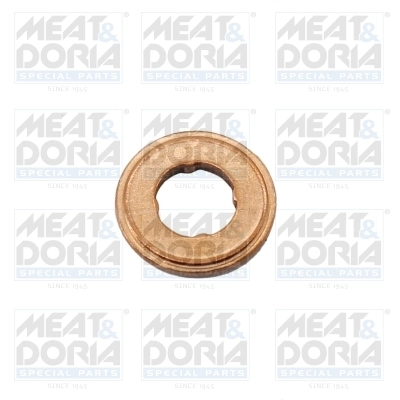Seal Ring, injector